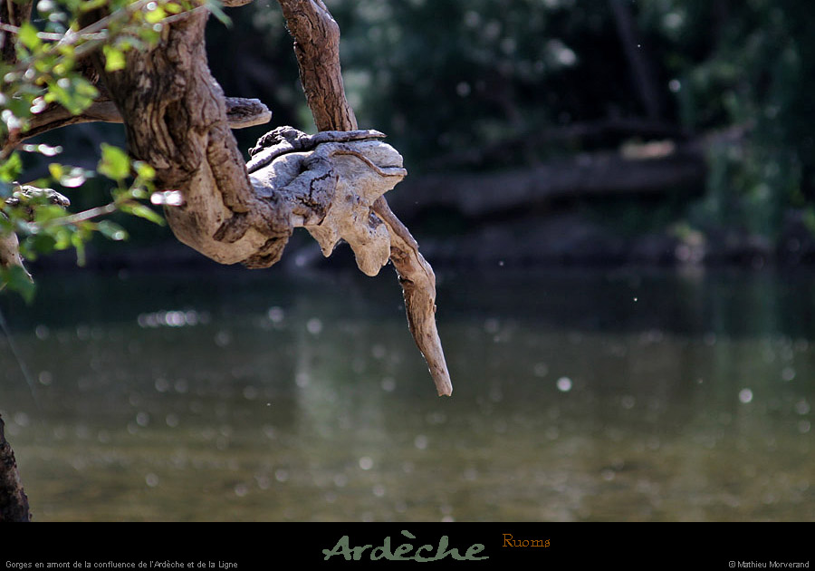 20110501_ruoms_amconfluence_01