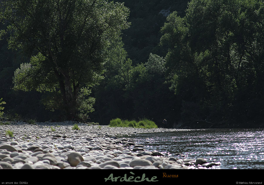20110501_ruoms_amconfluence_07