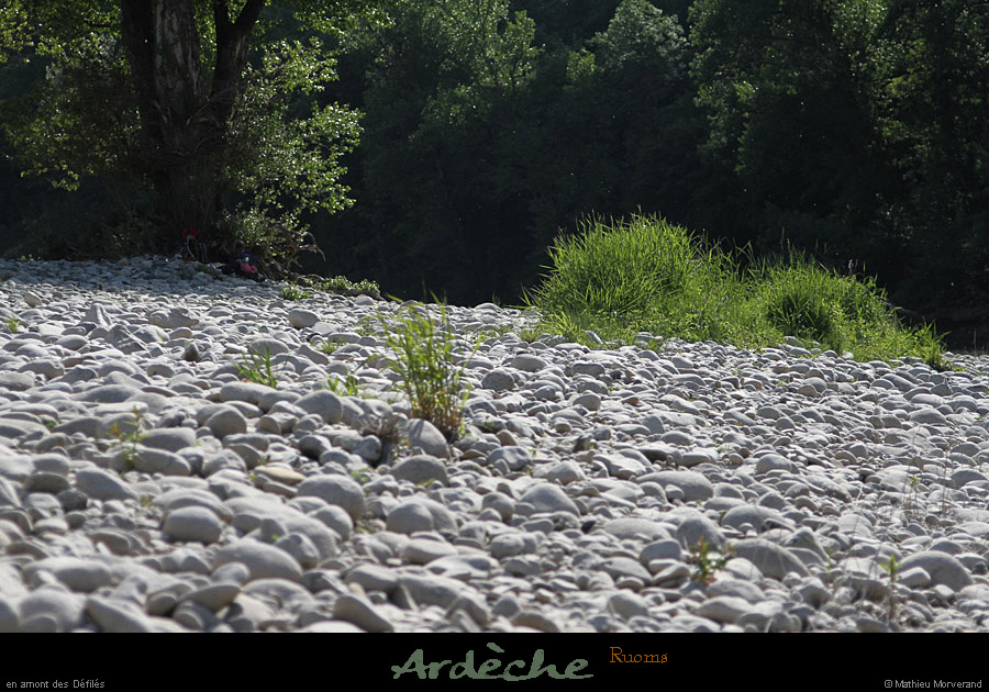 20110501_ruoms_amconfluence_08