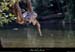 20110501_ruoms_amconfluence_01