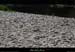 20110501_ruoms_amconfluence_13