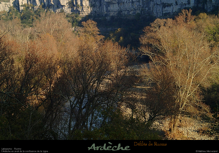 20131116_defilesruoms_confluenceligne2