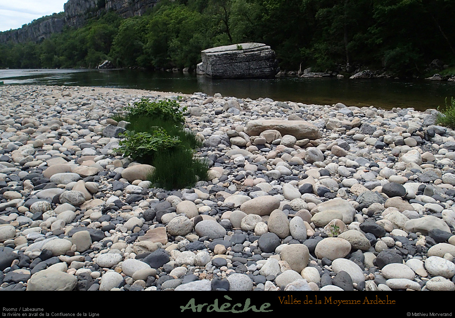 20160611_avalconfluenceligne4