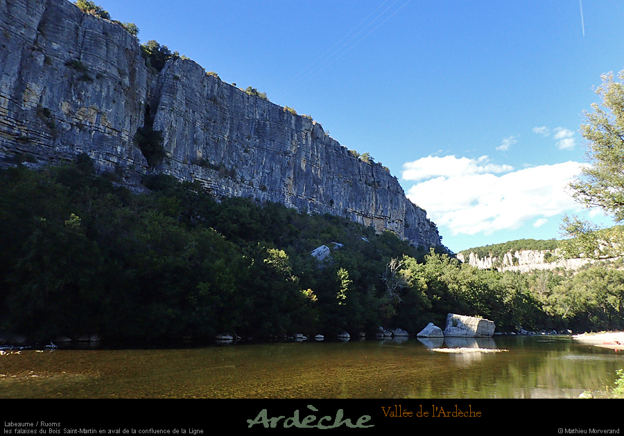 20180923_defilesavconfluenceligne