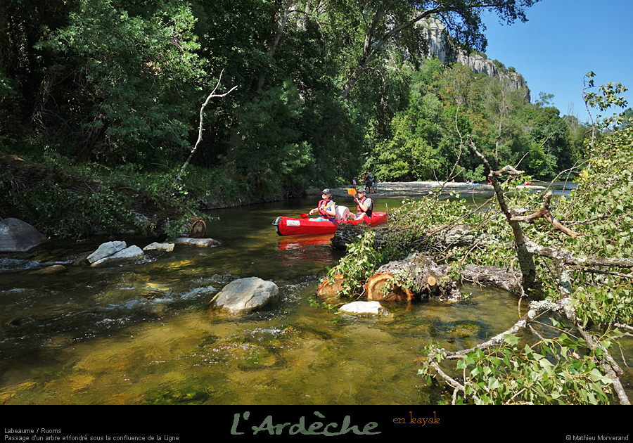 20220716arbreriviere