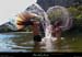 20250811b08