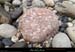 20160611_avalconfluenceligne_pierre