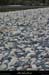 20170318_avalconfluenceligne5