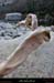 20170318_avalconfluenceligne7