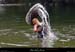 20190623_avconfluence_jeuxdeau1