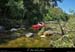 20220716arbreriviere