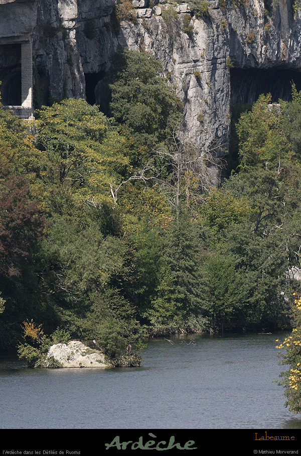 20081004_defileslabeaume3