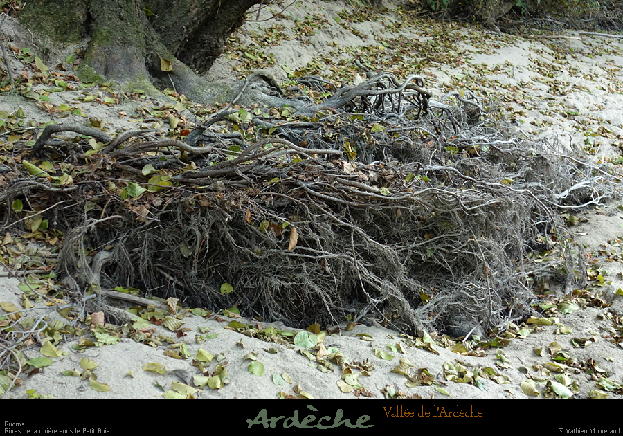 20210913_rivereassechee14