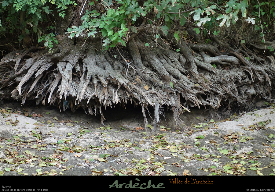 20210913_rivereassechee29