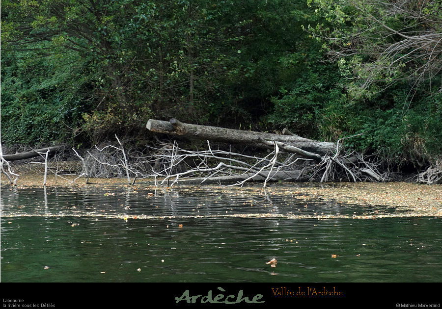 20210913_rivereassechee31