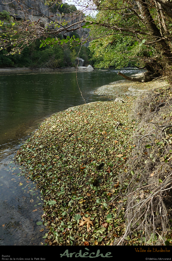 20210913_rivereassechee38