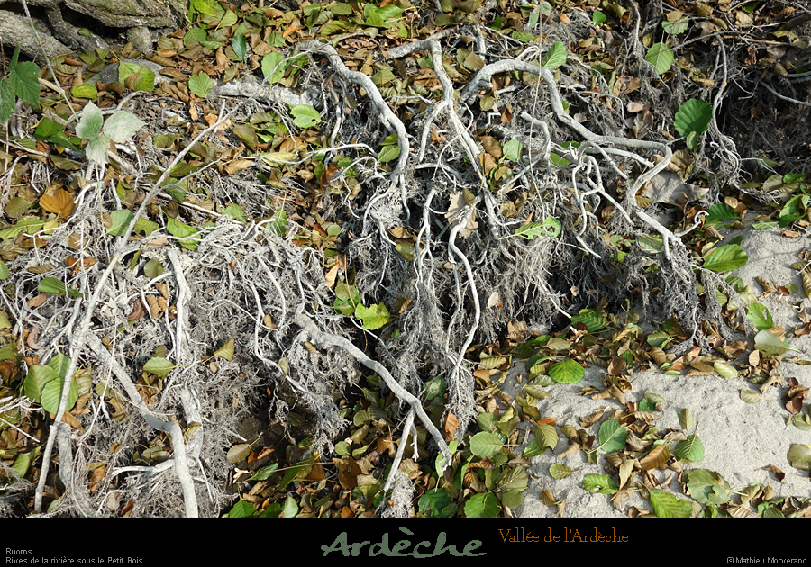 20210913_rivereassechee39