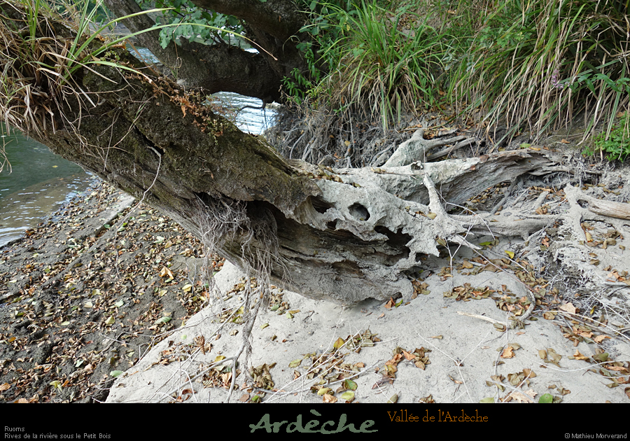 20210913_rivereassechee41