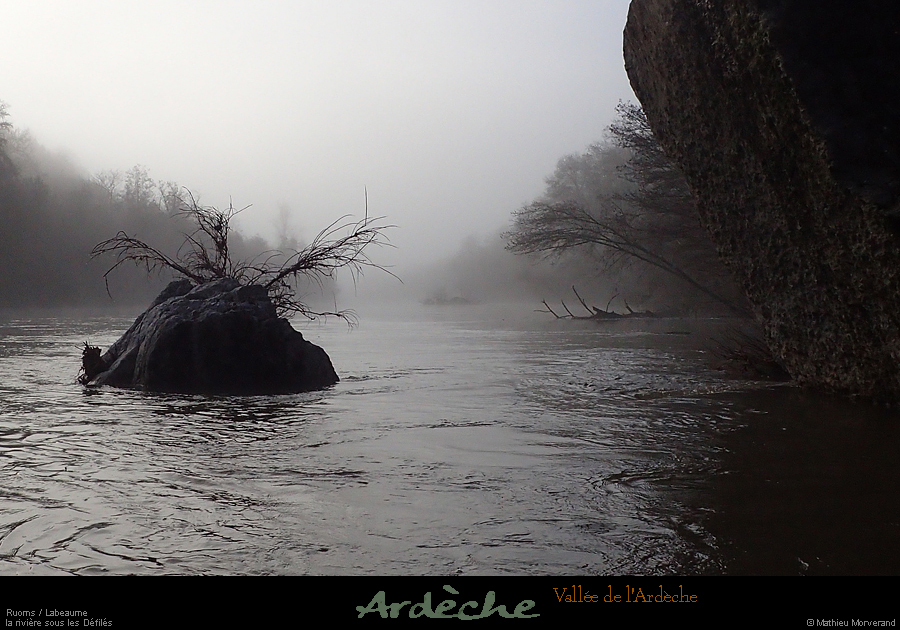 20250126_15