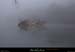 20210101_06