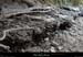 20210913_rivereassechee06
