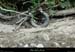 20210913_rivereassechee13