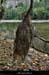 20210913_rivereassechee23