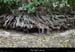 20210913_rivereassechee29