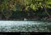 20210913_rivereassechee40