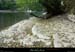 20210913_rivereassechee42
