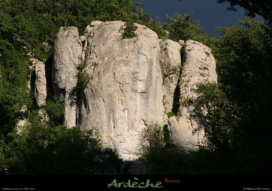 20070625_ardeche_falaisessspetitbois1