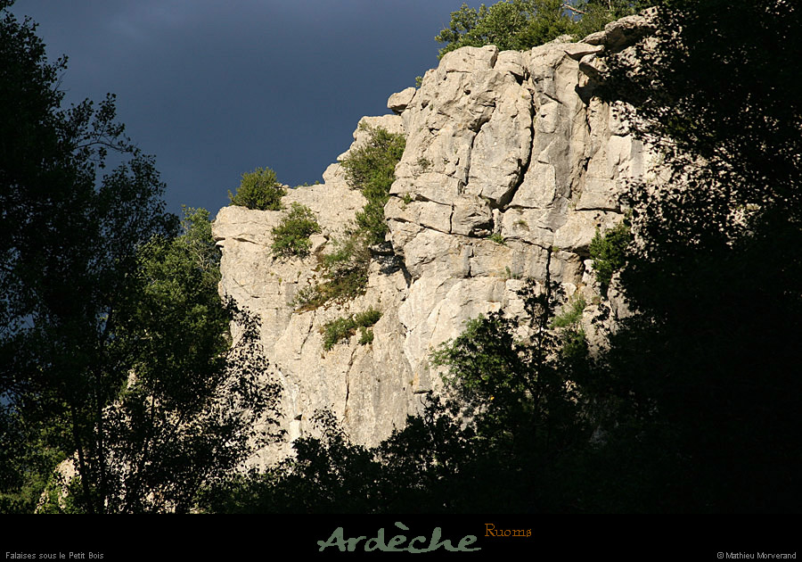20070625_ardeche_falaisessspetitbois2
