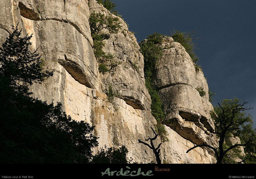 20070625_ardeche_falaisessspetitbois5