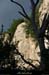 20070625_ardeche_falaisessspetitbois3