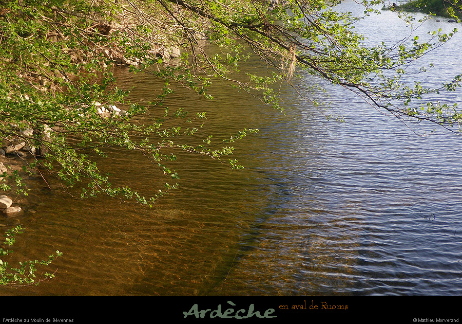 20090406_ardecheprsmoulindebevennes