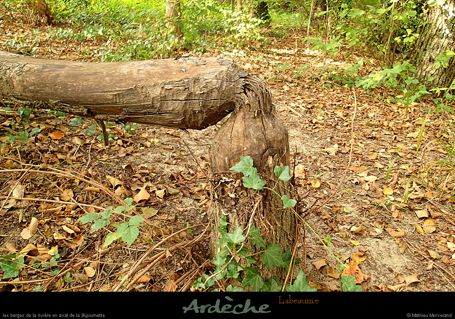 20130928_labeaume_rivesdardeche25
