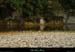 20130928_labeaume_ardeche_meandressmoulinbevennes