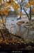 20141123_ardecheamconfluencebeaume07