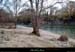 20141123_ardecheamconfluencebeaume08