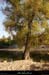 20171014_amconfluencebeaume1