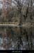 20111211_ruoms_lachapouliere_ardeche1