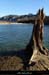 20160221_confluencechassezacardeche5