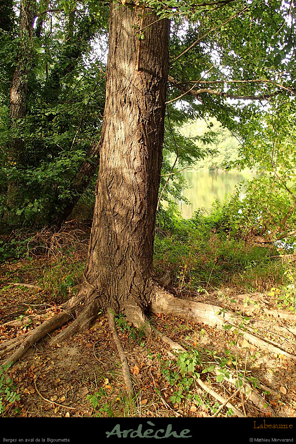 20130928_labeaume_rivesdardeche26