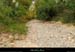 20130928_labeaume_ardeche_amconfluence_brasmort