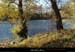 20151031_bordsardecheavalruoms