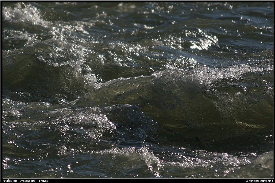 20061118_ibie024