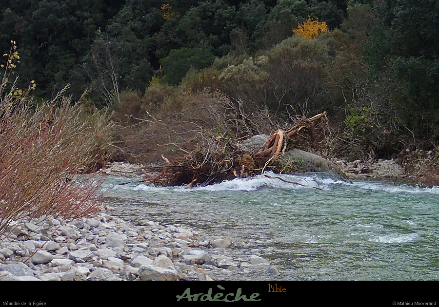 20141116_068