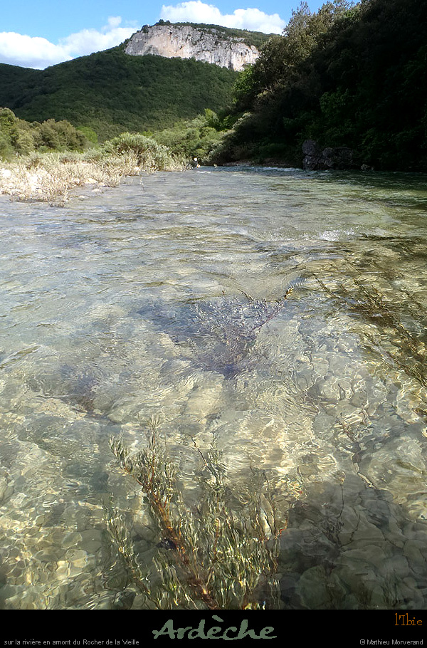 20130520_ibie_sslegrdchambon1