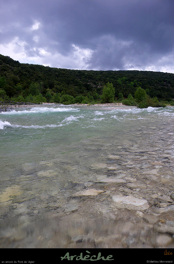 20100512_ibie3