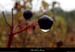 20131015_vpa_valleibiessderoc3